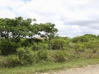 Front View of property in Bushmans River