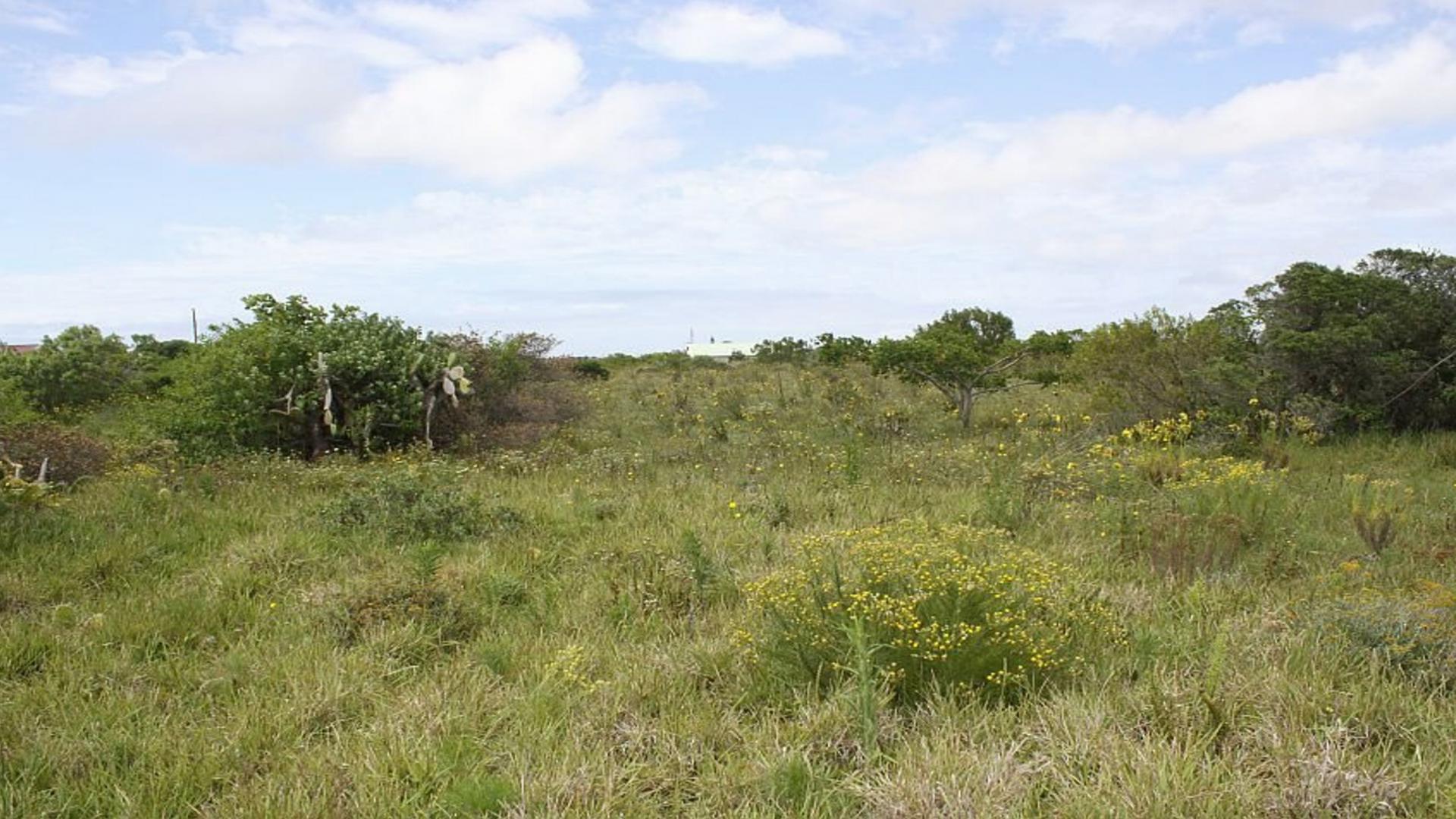 Front View of property in Bushmans River