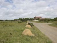 Front View of property in Bushmans River