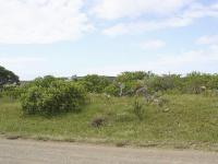 Front View of property in Bushmans River