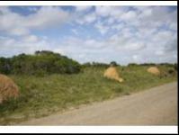 Front View of property in Bushmans River