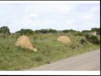 Front View of property in Bushmans River