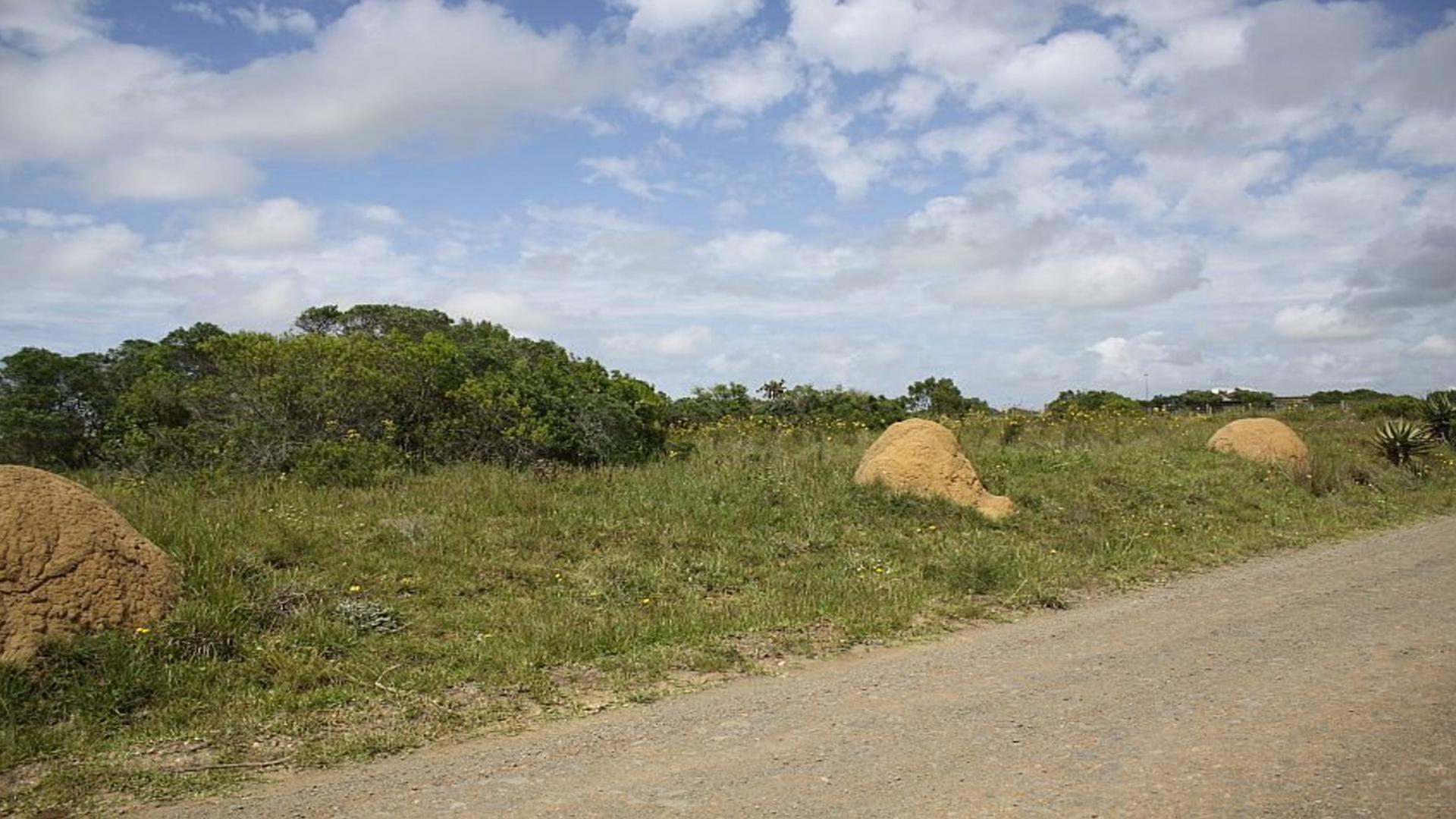 Front View of property in Bushmans River