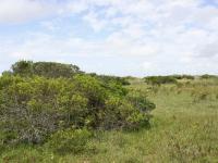 Front View of property in Bushmans River