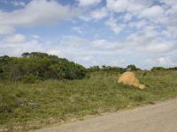 Front View of property in Bushmans River