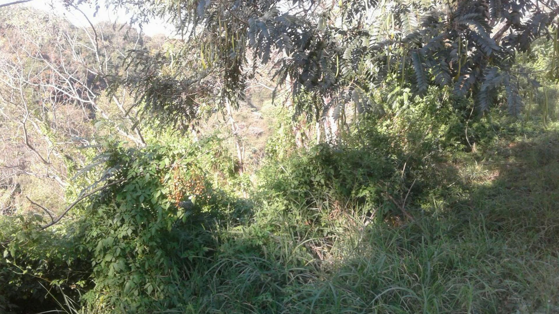 Front View of property in Westville 