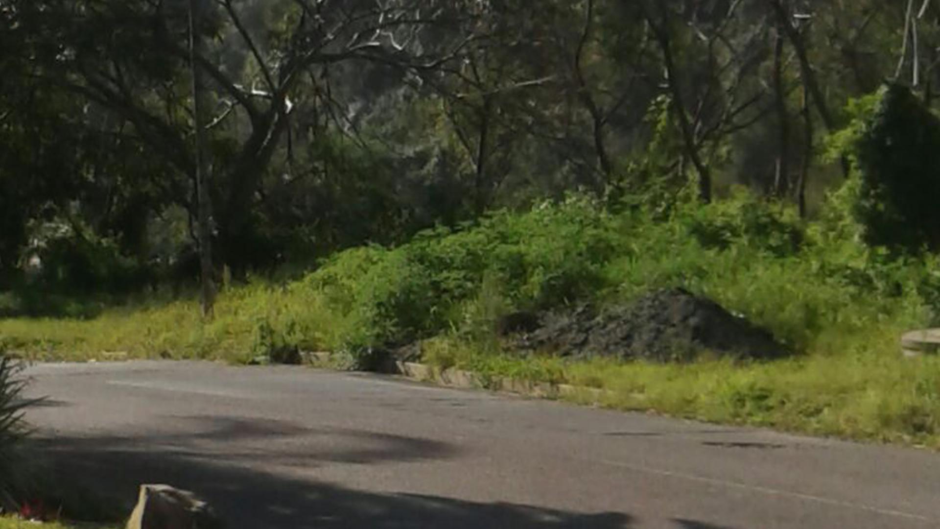 Front View of property in Westville 