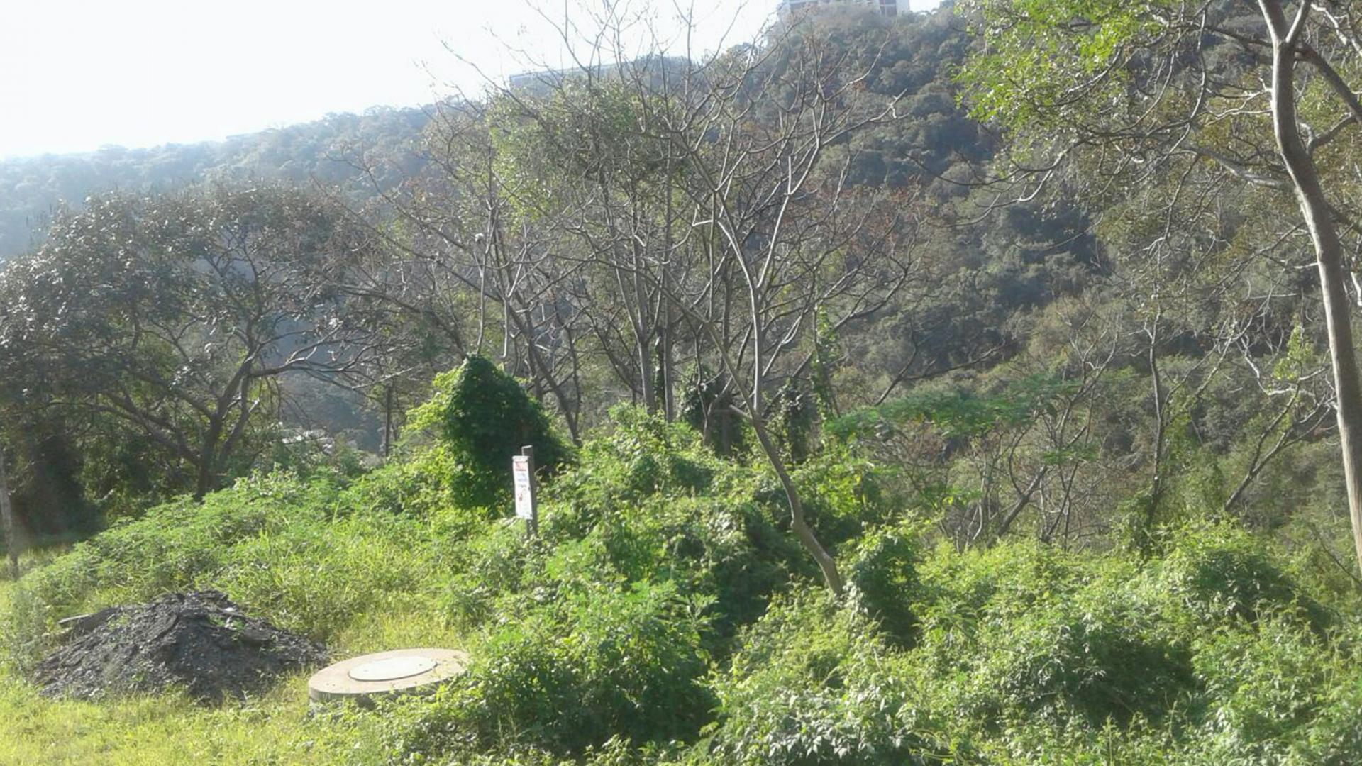 Front View of property in Westville 