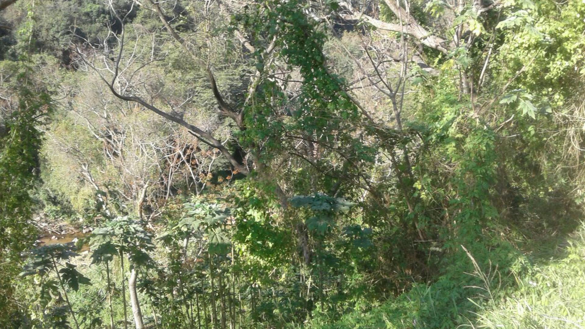 Front View of property in Westville 