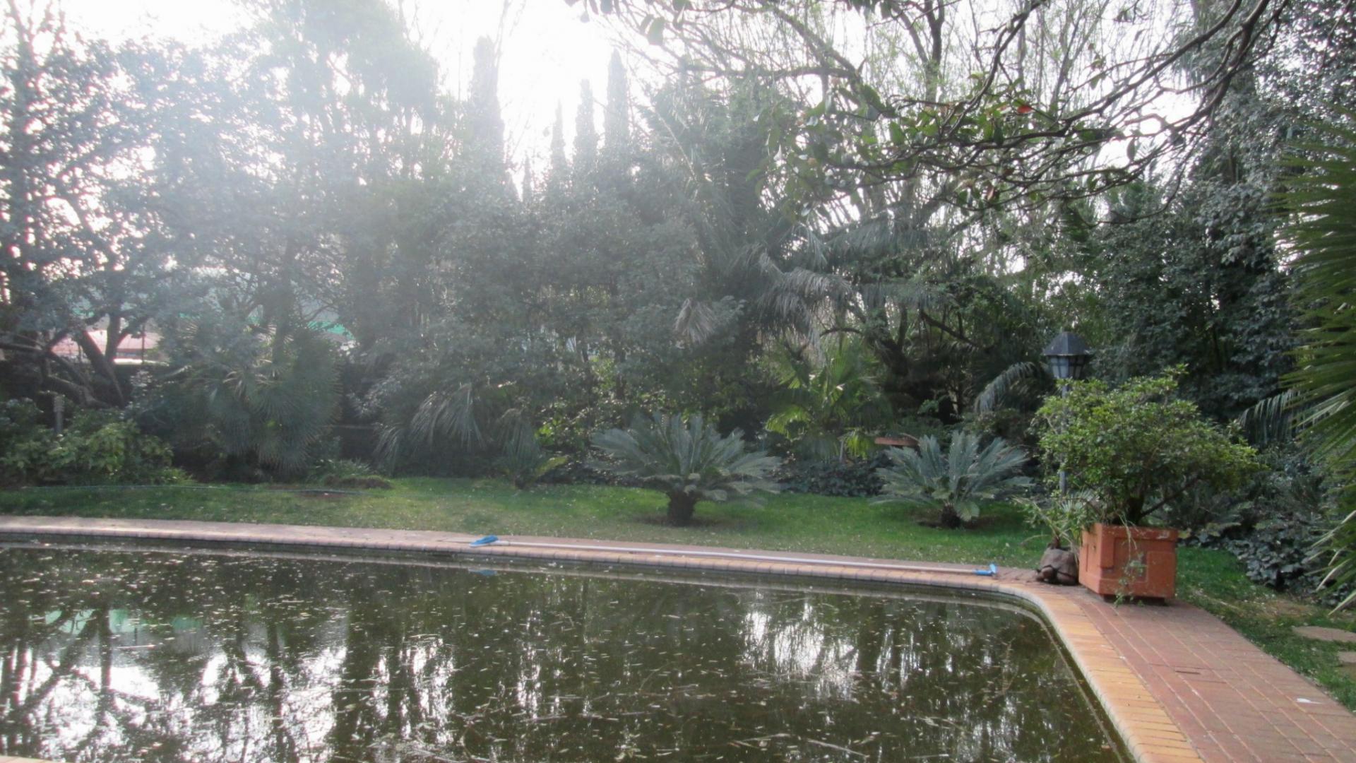 Backyard of property in Meyerton