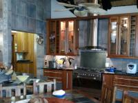 Kitchen - 24 square meters of property in Messina