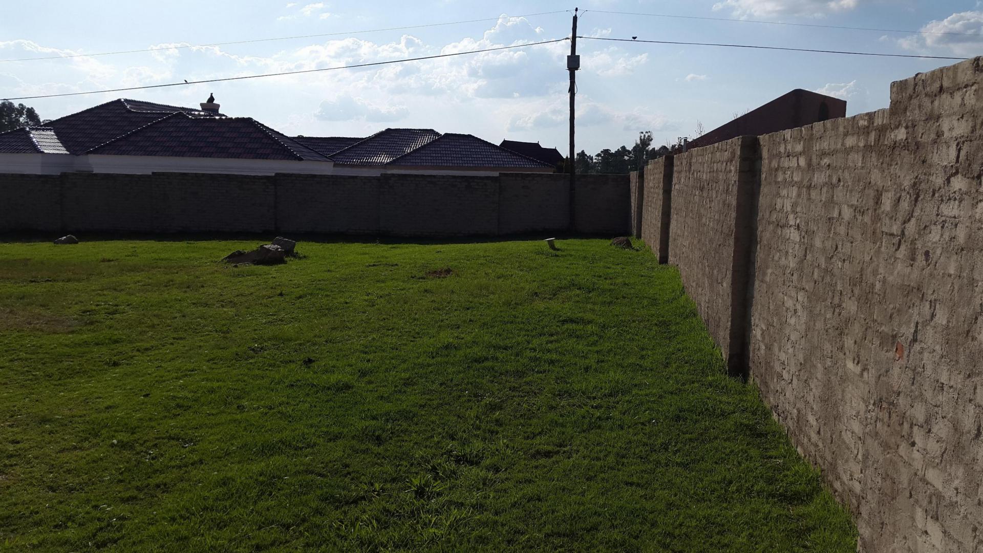 Backyard of property in Belfast