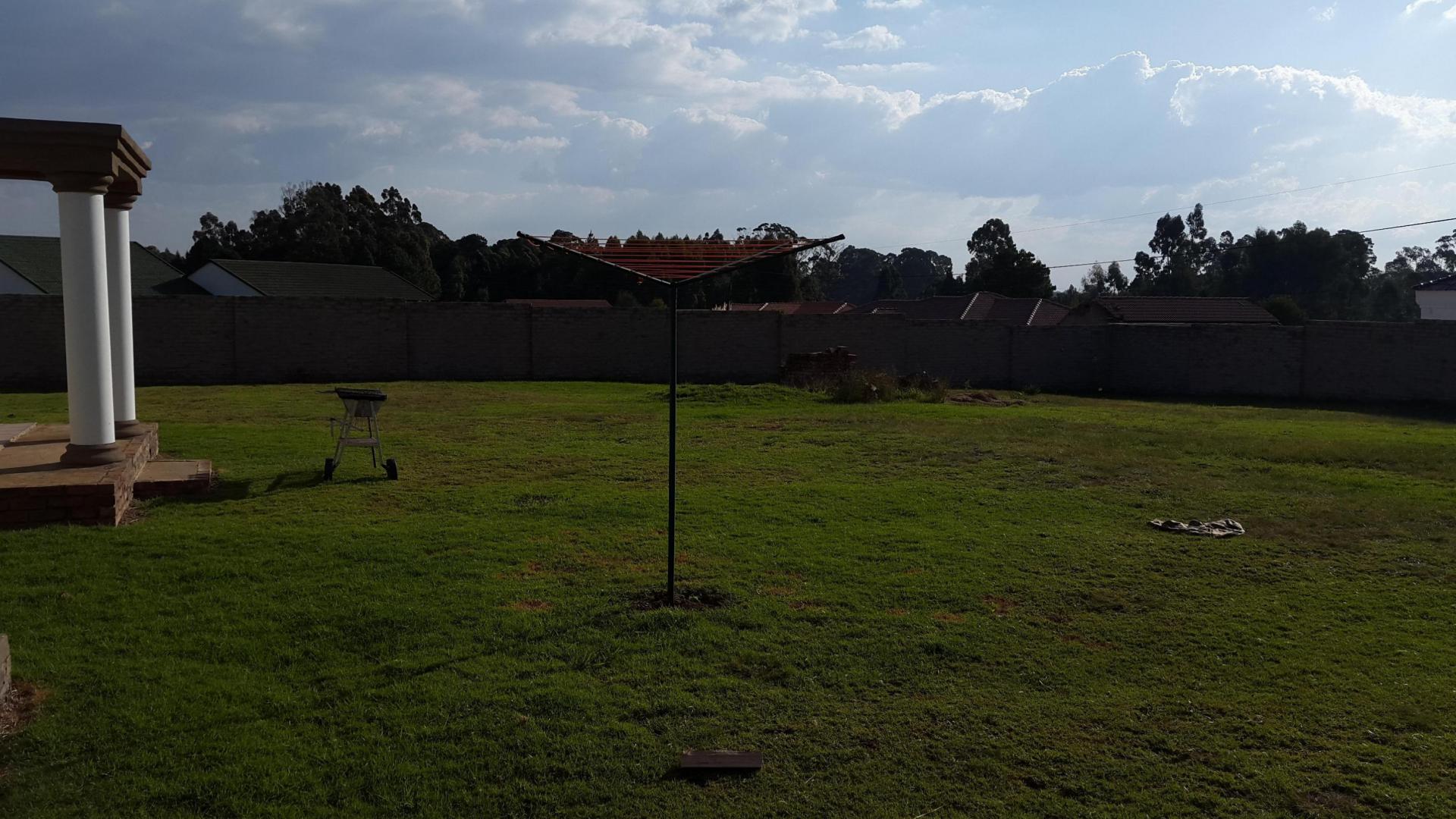 Backyard of property in Belfast