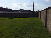 Backyard of property in Belfast