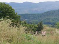 Land for Sale for sale in Sabie