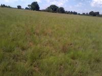 Land for Sale for sale in Droogfontein AH