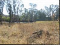 Land for Sale for sale in Bryanston