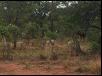 Front View of property in Buffelspoort