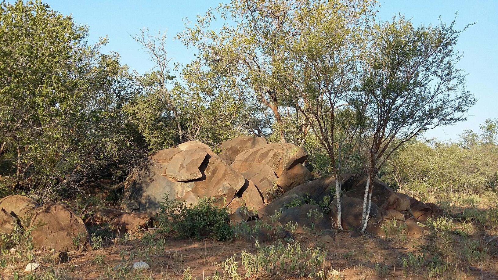 Land for Sale For Sale in Hoedspruit - Private Sale - MR148471