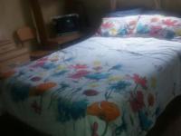 Bed Room 1 - 12 square meters of property in Diepsloot