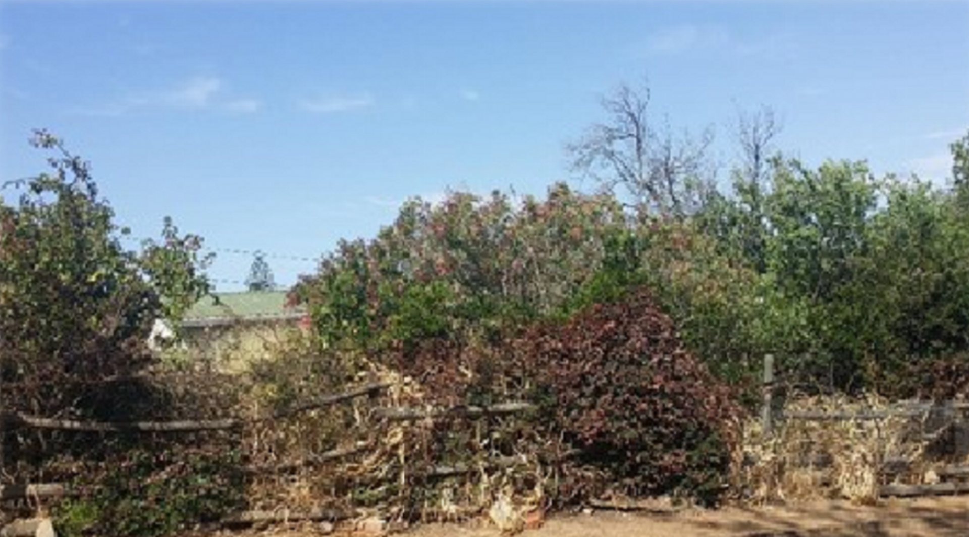 Front View of property in Malmesbury