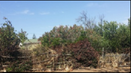 Land for Sale for sale in Malmesbury