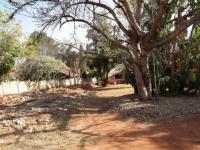Backyard of property in Safarituine