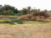 Backyard of property in Steytlerville