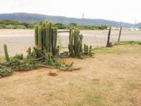 Backyard of property in Steytlerville