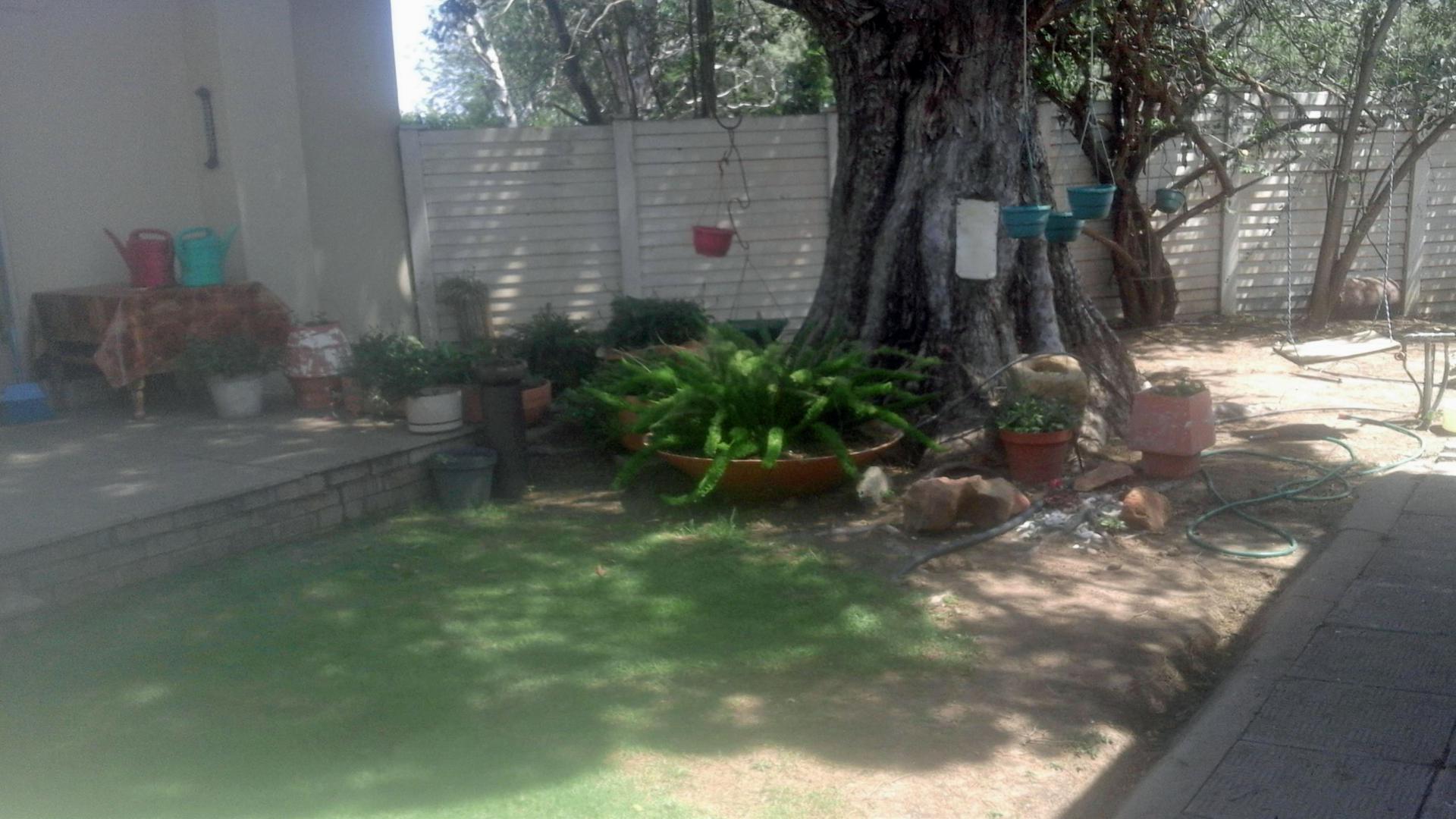 Backyard of property in Koppies