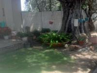 Backyard of property in Koppies