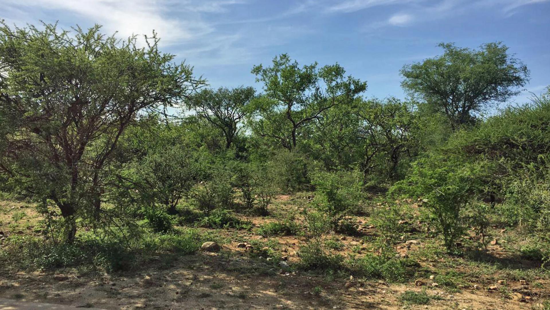 Front View of property in Hoedspruit