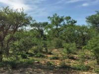 Land for Sale for sale in Hoedspruit