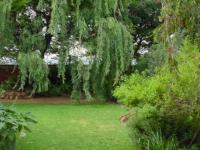 Garden of property in Emalahleni (Witbank) 