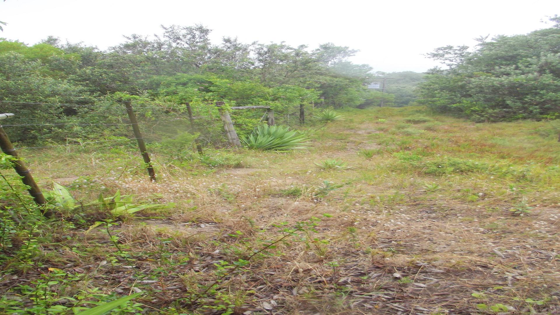 Front View of property in Cannon Rocks