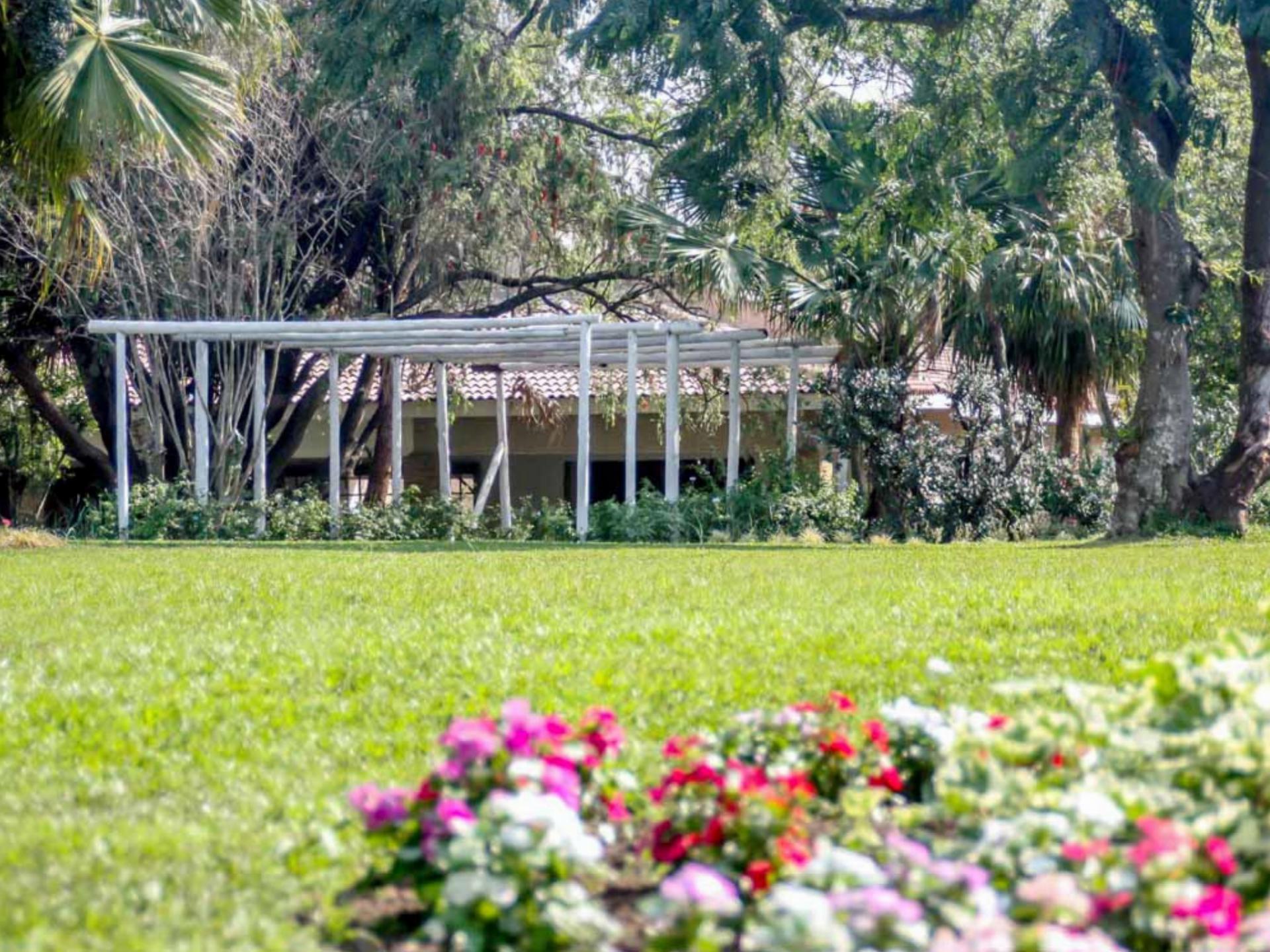 Garden of property in Mtunzini