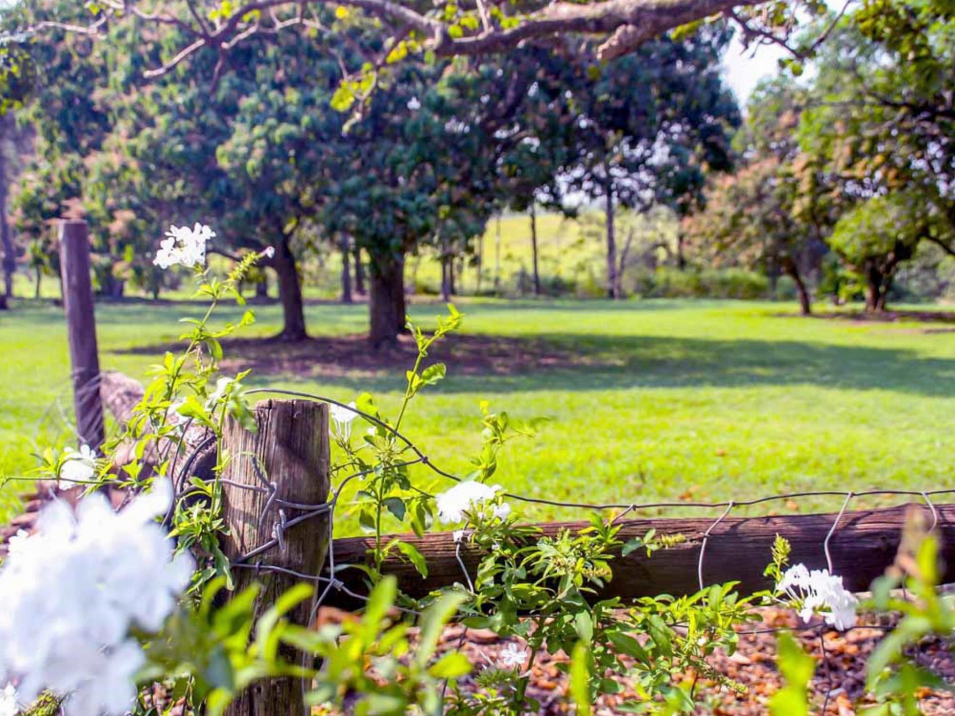 Garden of property in Mtunzini