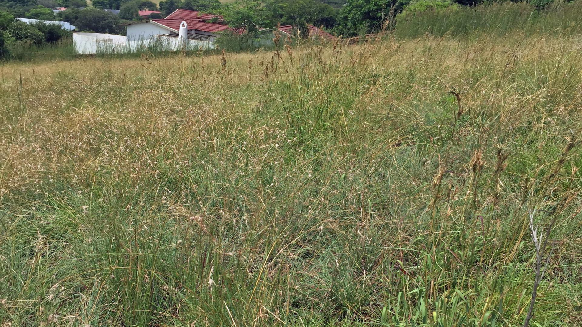 Front View of property in Signal Hill (KZN)