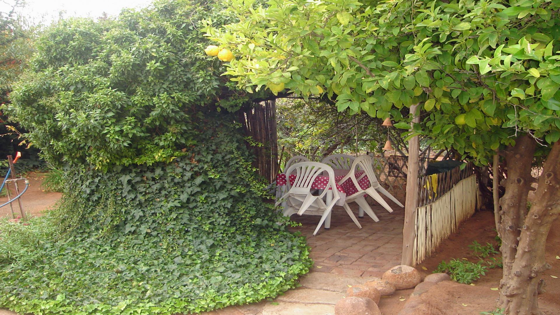 Backyard of property in Hofmeyr