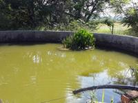 Backyard of property in Pretoria Rural