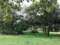 Backyard of property in Pretoria Rural