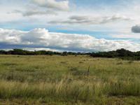 Backyard of property in Pretoria Rural