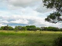 Backyard of property in Pretoria Rural