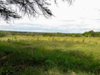 Backyard of property in Pretoria Rural