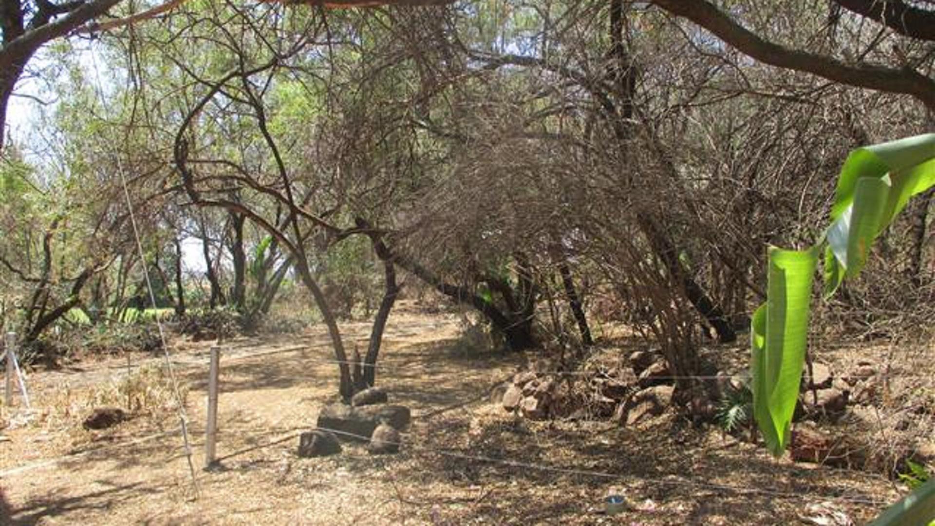 Backyard of property in Hartebeesfontein