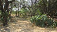 Backyard of property in Hartebeesfontein