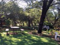Garden of property in Thabazimbi