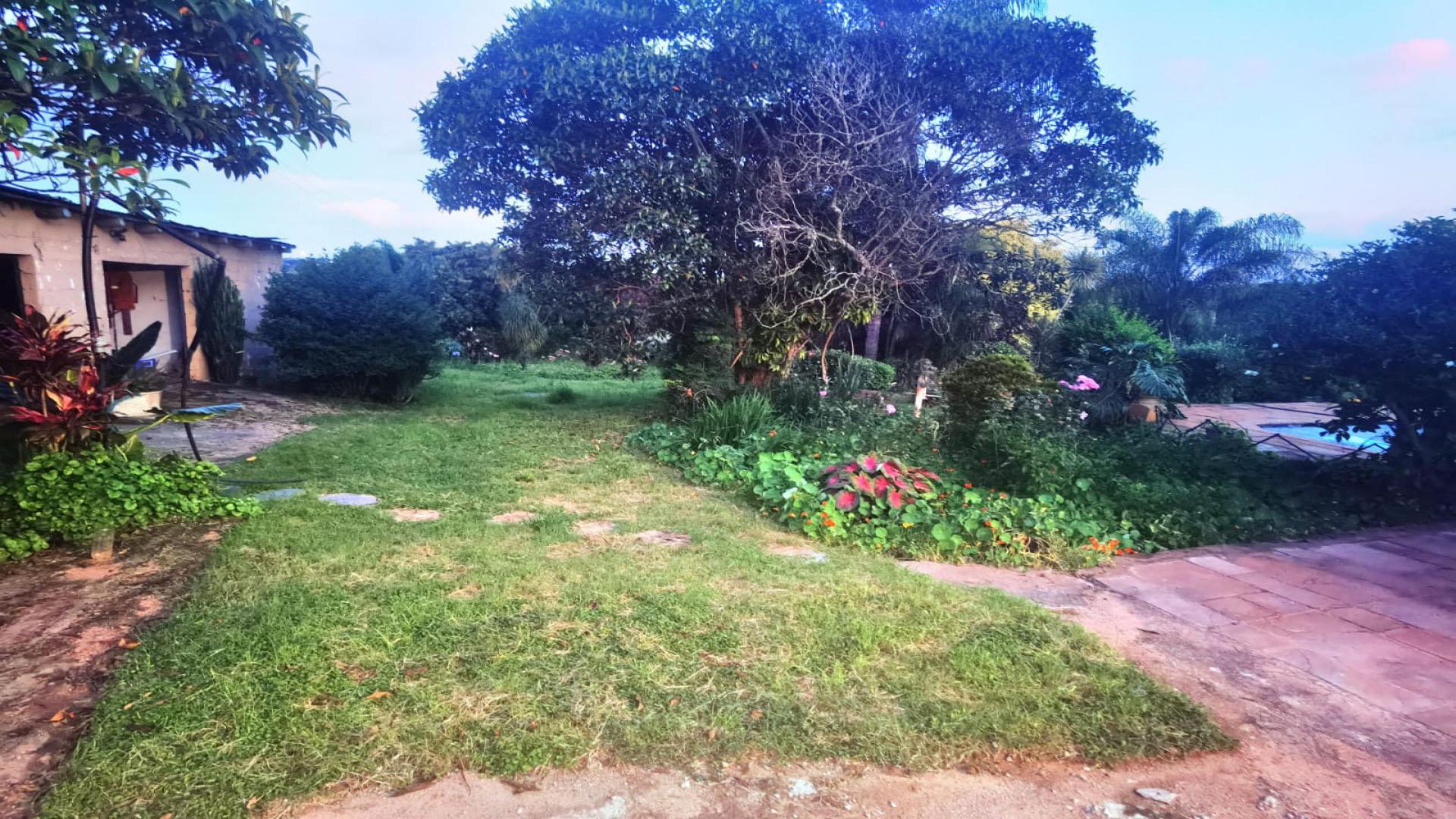 Backyard of property in White River AH