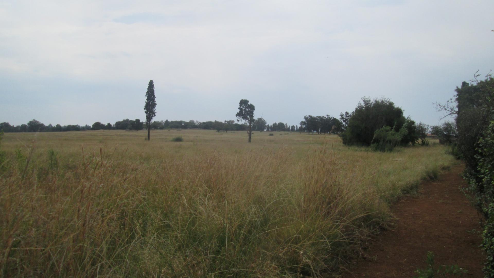 Backyard of property in The Balmoral Estates