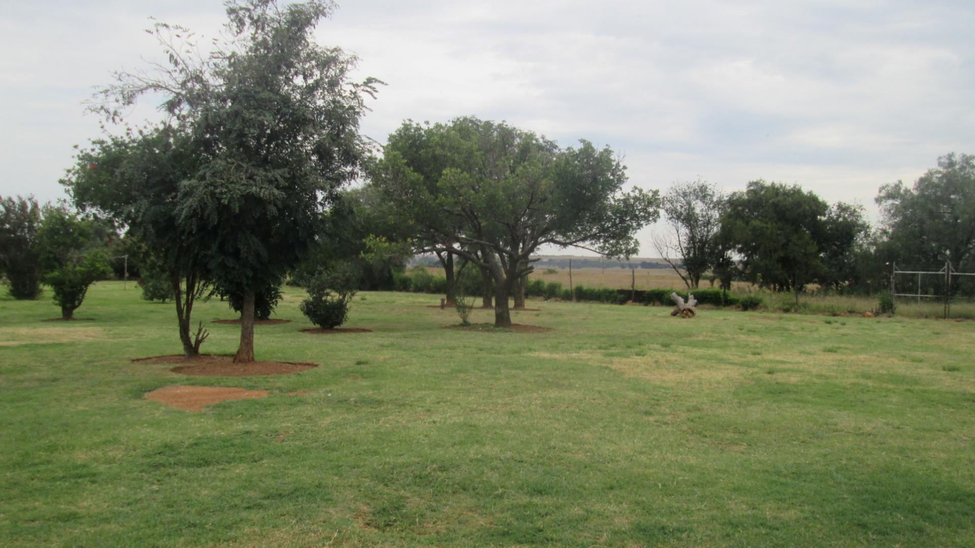 Backyard of property in The Balmoral Estates